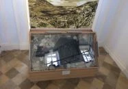 MTM Bakonyi Természettudományi Múzeuma Zirc