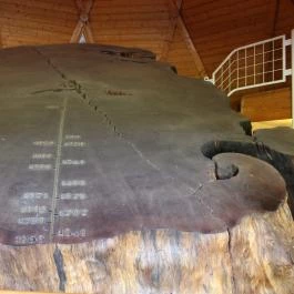 Ópusztaszeri Nemzeti Történeti Emlékpark Ópusztaszer - Egyéb