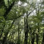 Öreg-tó Tata - Egyéb