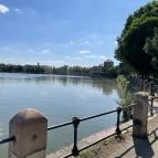 Öreg-tó Tata - Egyéb