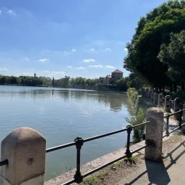 Öreg-tó, Tata - Egyéb