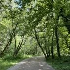 Öreg-tó Tata - Egyéb