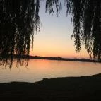 Öreg-tó Tata - Egyéb