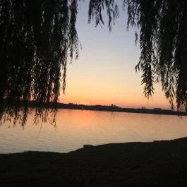 Öreg-tó, Tata - Egyéb