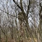 Pákozdi Pagony Kilátó Pákozd - Egyéb