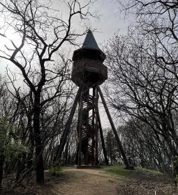 1. legjobb látnivaló: Pákozdi Pagony Kilátó