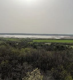 Pákozdi Pagony Kilátó