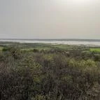 Pákozdi Pagony Kilátó Pákozd - Egyéb