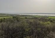 Pákozdi Pagony Kilátó Pákozd