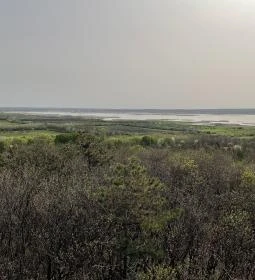 Pákozdi Pagony Kilátó