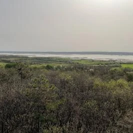 Pákozdi Pagony Kilátó Pákozd - Egyéb