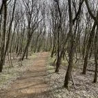 Pákozdi Pagony Vadaspark és Arborétum Pákozd - Egyéb