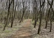 Pákozdi Pagony Vadaspark és Arborétum Pákozd