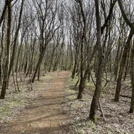 Pákozdi Pagony Vadaspark és Arborétum, Pákozd - Egyéb