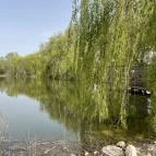 Pákozdi Pagony Vadaspark és Arborétum Pákozd - Egyéb