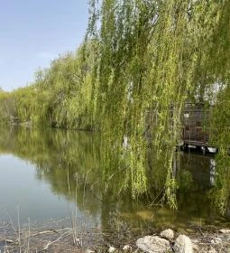 Pákozdi Pagony Vadaspark és Arborétum