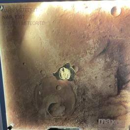 Pannon Csillagda, Bakonybél - Egyéb