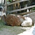 Puchner Kastélyszálló Bikal - Környék