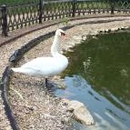 Puchner Kastélyszálló Bikal - Környék