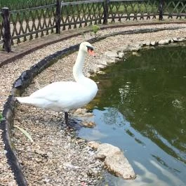 Puchner Kastélyszálló, Bikal - Környék