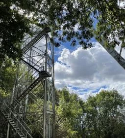 Ranzinger Vince-kilátó