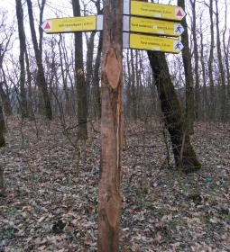 Ranzinger Vince-kilátó