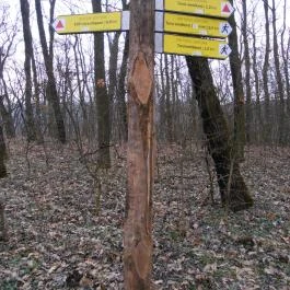 Ranzinger Vince-kilátó, Tatabánya - Egyéb