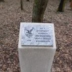 Ranzinger Vince-kilátó Tatabánya - Egyéb