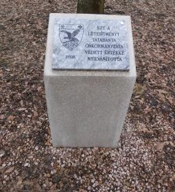 Ranzinger Vince-kilátó