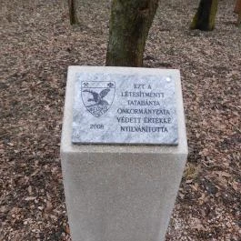 Ranzinger Vince-kilátó, Tatabánya - Egyéb