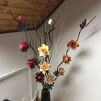 Rózsa Apartman Balatonlelle - Egyéb