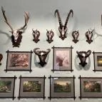 Sándor-Metternich-kastély Bajna - Egyéb