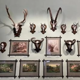 Sándor-Metternich-kastély, Bajna - Egyéb