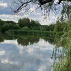 Sástó Gyöngyös - Egyéb