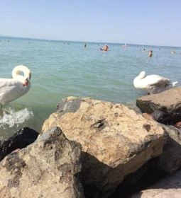 Siófok Szabadstrand - Ezüstpart