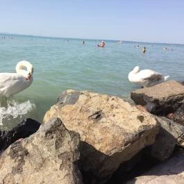 Siófok Szabadstrand - Ezüstpart Siófok - Egyéb