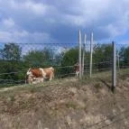 Sobri Jóska Bakonyi Kalandpark Kislőd - 