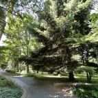 Soproni Botanikus Kert Sopron - Egyéb