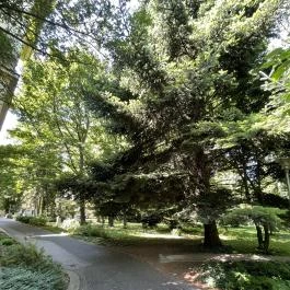 Soproni Botanikus Kert , Sopron - Egyéb