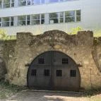 Soproni Botanikus Kert Sopron - Egyéb