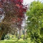 Soproni Botanikus Kert Sopron - Egyéb