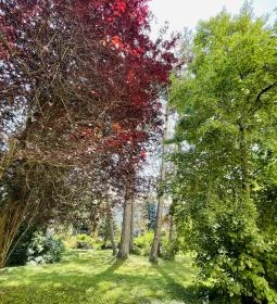 Soproni Botanikus Kert 