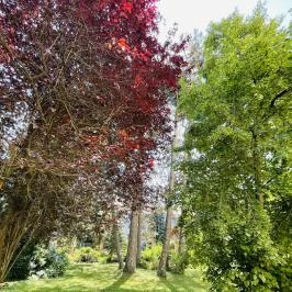 Soproni Botanikus Kert , Sopron - Egyéb