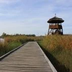 Sóstó Székesfehérvár - Egyéb