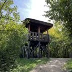 Sóstó Székesfehérvár - Egyéb