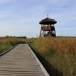 Sóstó, Székesfehérvár - Egyéb