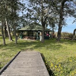 Sóstó, Székesfehérvár - Egyéb