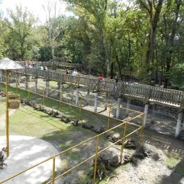 Sóstó Zoo - Nyíregyházi Állatpark, Nyíregyháza - 