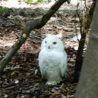 Sóstó Zoo - Nyíregyházi Állatpark Nyíregyháza - 