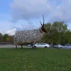 Szabadtéri Néprajzi Múzeum Szentendre - 